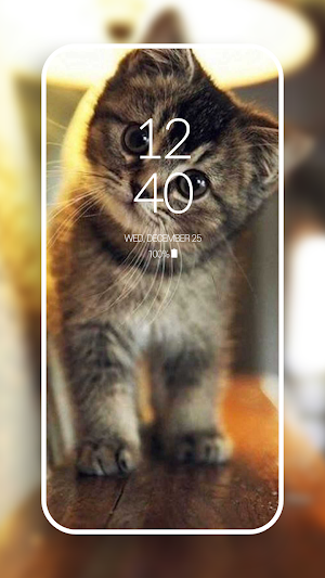 Aesthetic Cat HD Wallpaper Screenshot 3