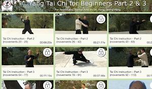 Yang Tai Chi for Beginners 2&3 Screenshot 3