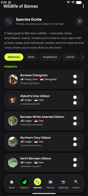 Wildlife of Borneo Screenshot 0
