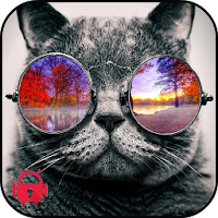 Cat breeds Lock Screen Wallpap