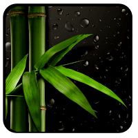 Bamboo Tree Wallpaper