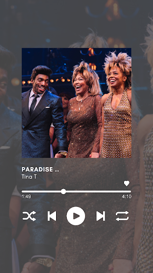 Songs Tina Turner MP3 Screenshot 1