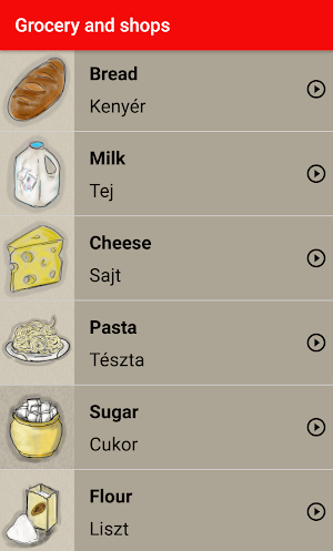 Pocket Hungarian Screenshot 3