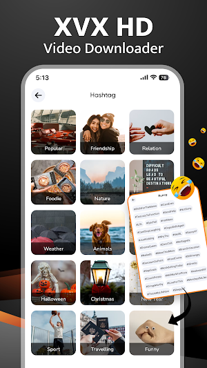 XVX HD Video Downloader Screenshot 2
