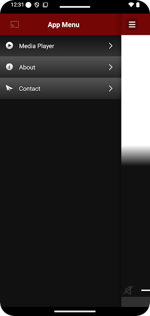 Son Salt Light Radio Screenshot 2