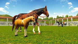 Horse Jumping 3D Simulator Screenshot 1