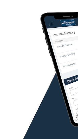National Iron Bank Screenshot 0