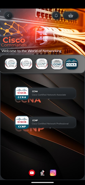 Cisco Commands Screenshot 1