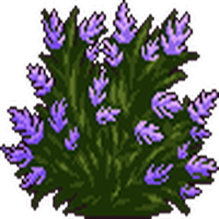 Nature Unlock: touch grass app