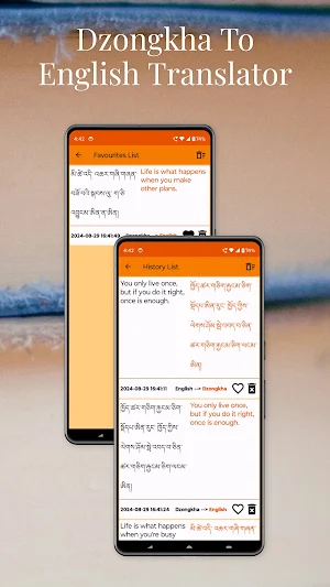 Dzongkha To English Translator Screenshot 3
