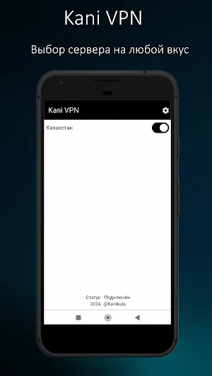 Kani VPN Screenshot 3