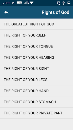 The Treatise on rights Screenshot 2
