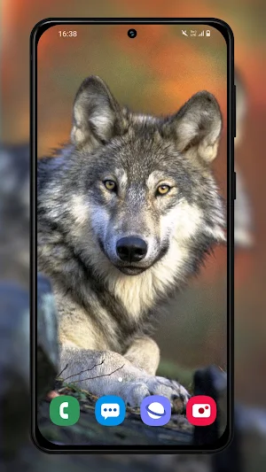 Wild animal wallpapers 4K Screenshot 2