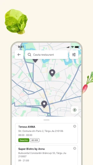 ANNA Delivery Screenshot 3