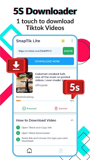 SnapTik Lite - Download TikTok Screenshot 2