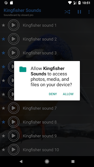 Kingfisher Sounds ~ Sboard.pro Screenshot 1