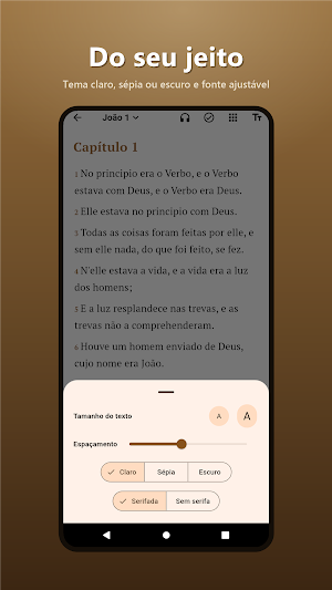 Bíblia Sagrada Offline Screenshot 2
