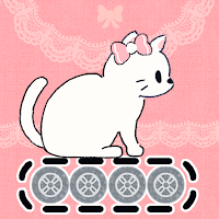 Belt Conve-meow