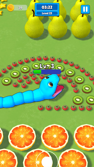 Snake Quest: Arcade Puzzle Screenshot 3