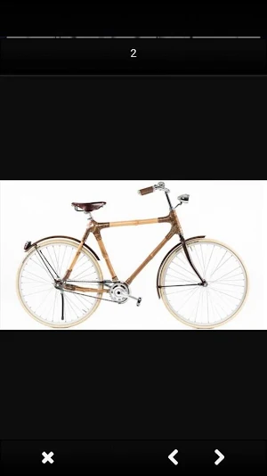 Bamboo Bicycle Designs Screenshot 1