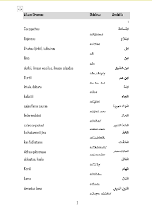 Arabic Afan Oromo Dictionary Screenshot 2