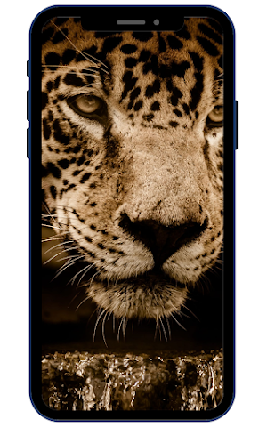 Jaguar Wallpapers Screenshot 3
