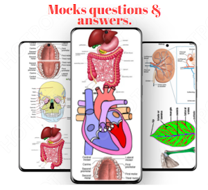 Biology: mocks and answers Screenshot 1