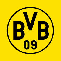 BVB eAcademy