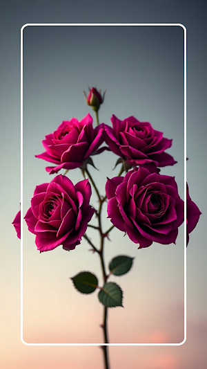 Pink Rose Wallpaper Screenshot 1