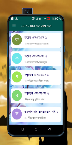 বিজয় দিবসের এসএমএস Screenshot 0