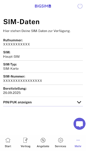 BIGSIM Servicewelt Screenshot 1