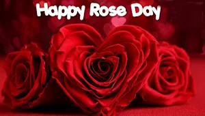 Happy Rose Day Quotes Images Screenshot 0