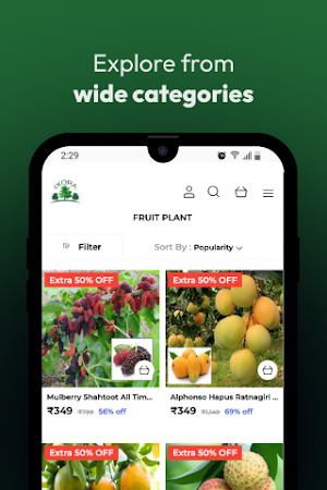 Ixora Farming Screenshot 2
