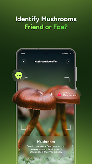 Spirit Screenshot 3