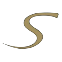 Sarky Jewelry
