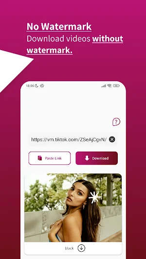 Video Downloader for TikTok Screenshot 1