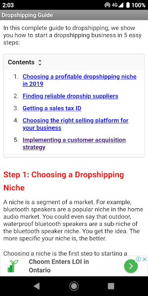 Dropshipping Guide for Beginne Screenshot 1