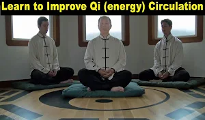 Qigong Meditation (YMAA) Dr.Yang, Jwing-Ming Screenshot 2