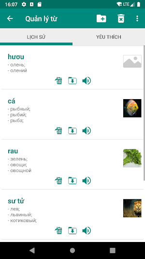 Russian Vietnamese Dictionary Screenshot 3