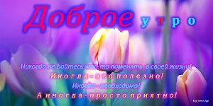 Доброе утро, Добрый день, Доброй ночи Screenshot 0