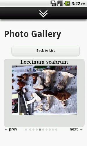PSMS Mobile Screenshot 3