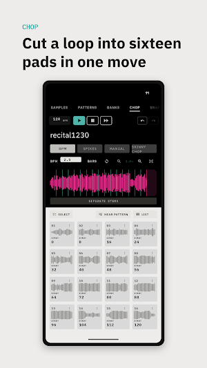 Sampultu Sample Manager Screenshot 3