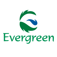Evergreen