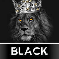 Black Wallpapers HD