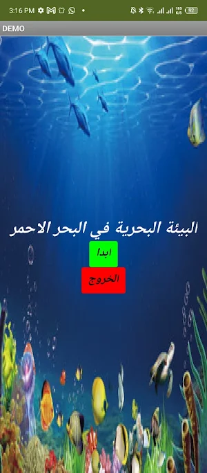 The RedSea Screenshot 1