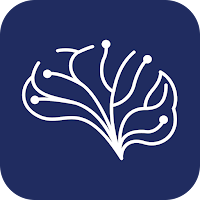 Brain & Performance Centre