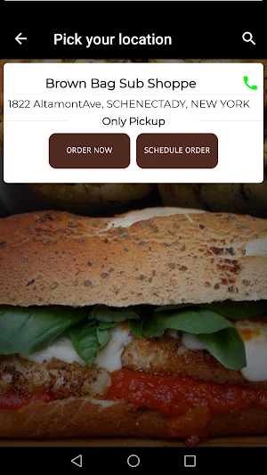 Brown Bag Sub Shoppe Screenshot 1