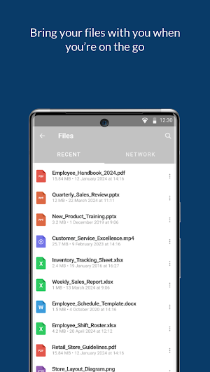 Trafiroad Screenshot 3