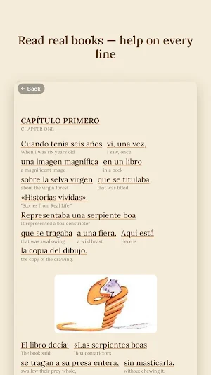 Osmo Lingo: Read to Learn Screenshot 0