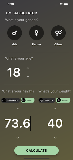 Vigor BMI Calculator Screenshot 2